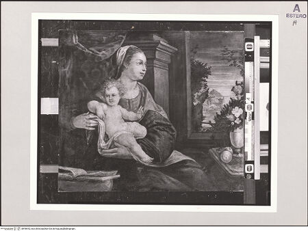 Vorderseite von bh496942_recto