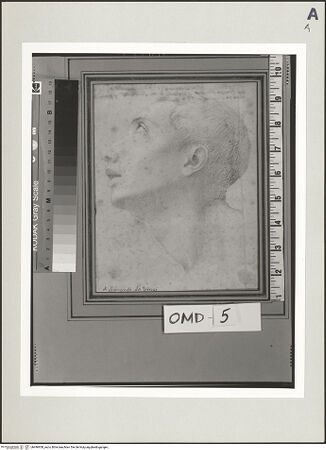 Vorderseite von bh496958_recto