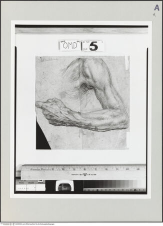 Vorderseite von bh496963_recto