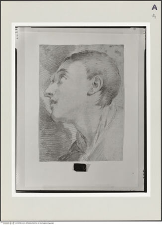 Vorderseite von bh496982_recto