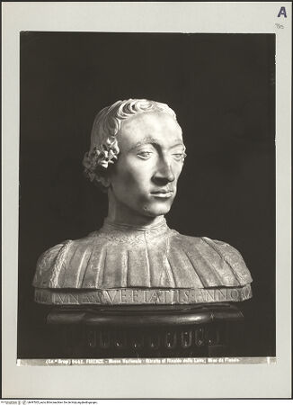 Vorderseite von bh497005_recto