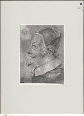 Vorderseite von bh497038_recto