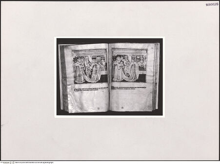 Vorderseite von bh497078_recto