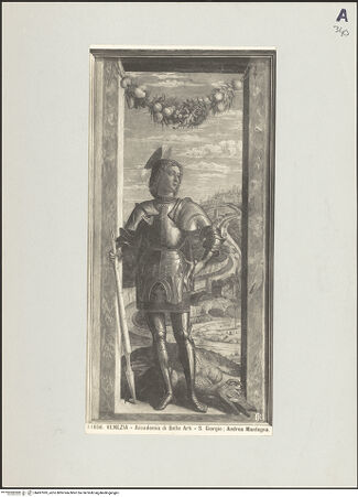 Vorderseite von bh497093_recto