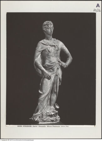 Vorderseite von Alinari [https://www.deutsche-digitale-bibliothek.de/content/lizenzen/rv-ez/] David - , bh497103_recto. Foto.