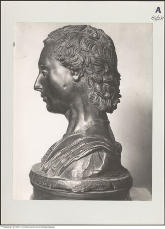 Vorderseite von bh497115_recto