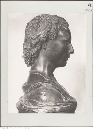 Vorderseite von bh497116_recto