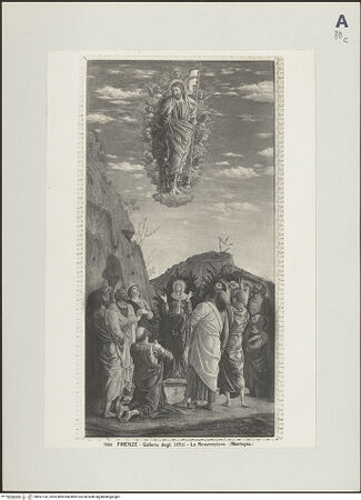 Vorderseite von bh497142_recto