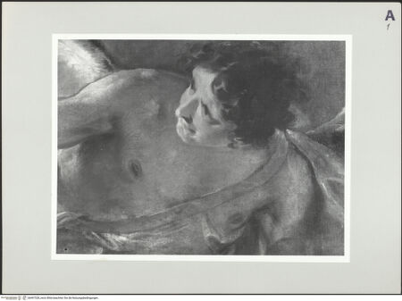 Vorderseite von bh497328_recto