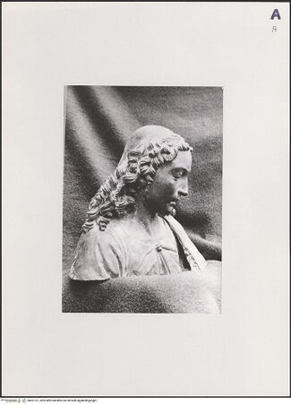 Vorderseite von bh497731_recto