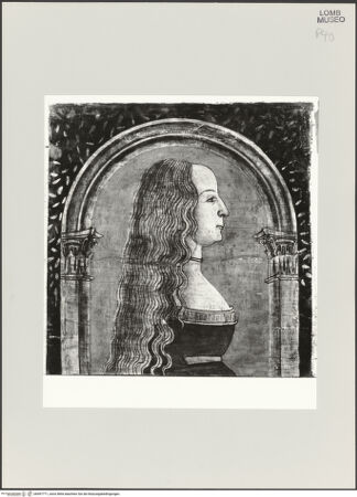 Vorderseite von bh497771_recto