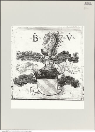 Vorderseite von bh497776_recto