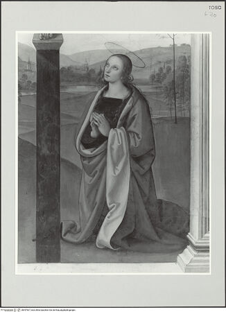 Vorderseite von bh497837_recto