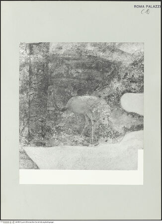 Vorderseite von bh498075_recto