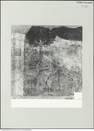 Vorderseite von bh498077_recto