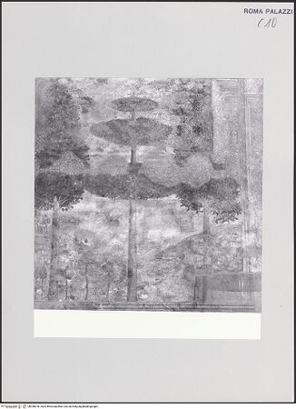 Vorderseite von bh498078_recto