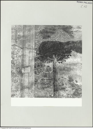 Vorderseite von bh498079_recto