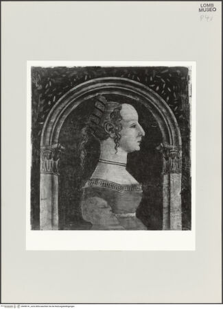 Vorderseite von bh498141_recto