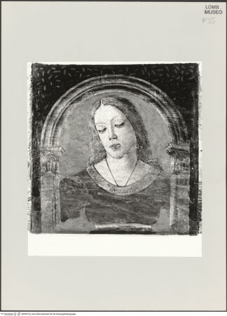 Vorderseite von bh498142_recto