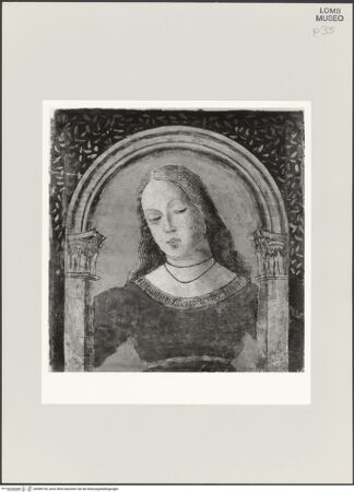 Vorderseite von bh498144_recto