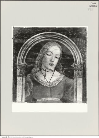 Vorderseite von bh498145_recto