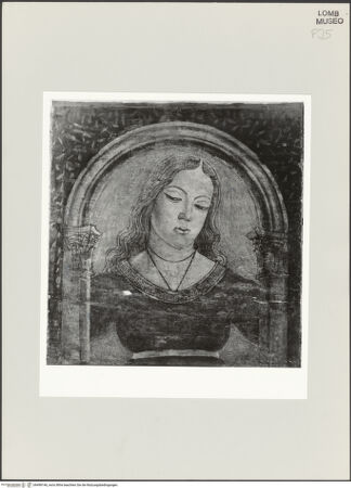 Vorderseite von bh498146_recto