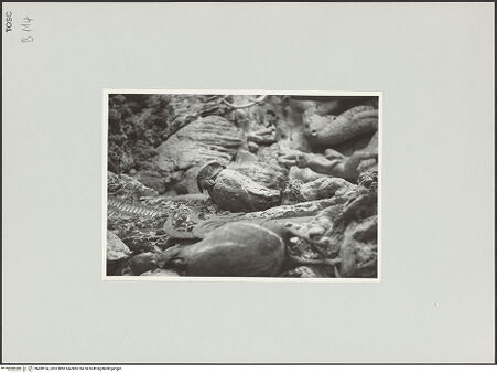 Vorderseite von bh498154_recto