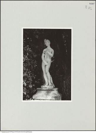 Vorderseite von bh498156_recto