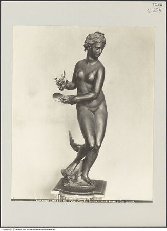 Vorderseite von bh498162_recto