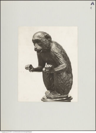 Vorderseite von bh498171_recto