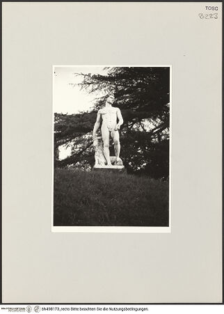 Vorderseite von bh498173_recto