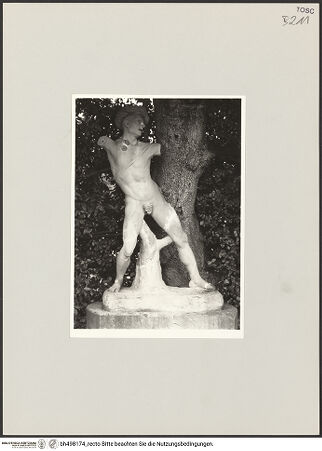 Vorderseite von bh498174_recto