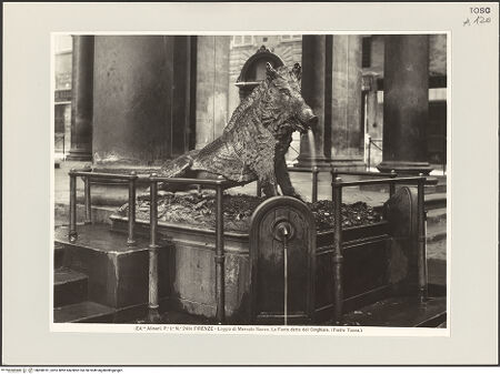 Vorderseite von bh498181_recto