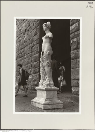 Vorderseite von bh498194_recto