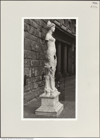 Vorderseite von bh498195_recto