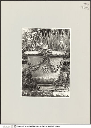 Vorderseite von bh498199_recto