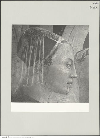 Vorderseite von Sopr. BAS AR [https://www.deutsche-digitale-bibliothek.de/content/lizenzen/rv-ez/] Die Kreuzlegende, Propheten und HeiligenLinke WandDie Auffindung und Prüfung des wahren Kreuzes - Die Prüfung des wahren Kreuzes, Detail, bh498210_recto. Foto.