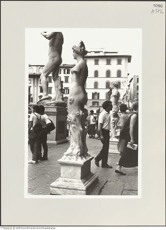 Vorderseite von bh498219_recto