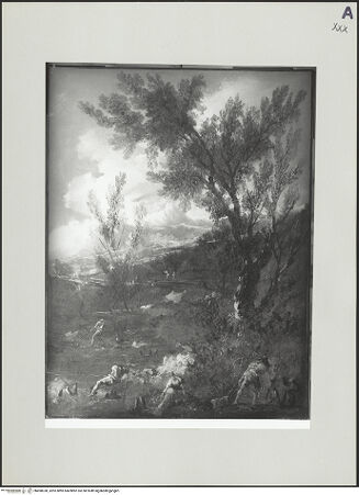 Vorderseite von bh498330_recto