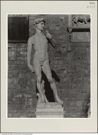 Vorderseite von bh498432_recto