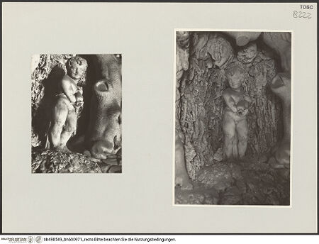 Vorderseite von bh498549_bh600971_recto