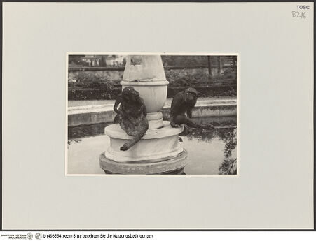 Vorderseite von bh498554_recto