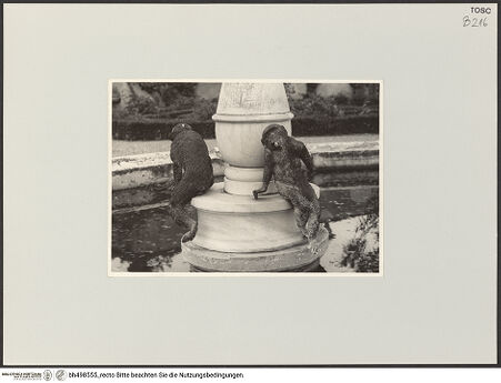 Vorderseite von bh498555_recto