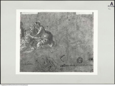 Vorderseite von bh498639_recto