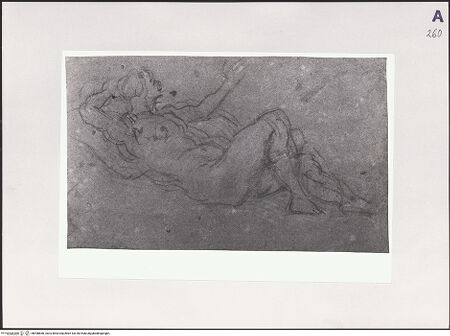 Vorderseite von bh498660_recto