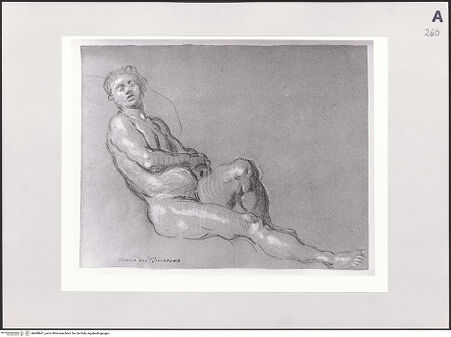 Vorderseite von bh498661_recto