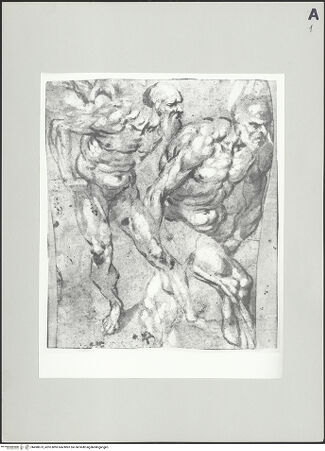 Vorderseite von bh498673_recto