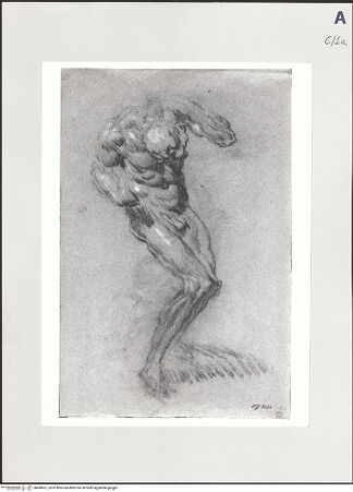 Vorderseite von bh498691_recto