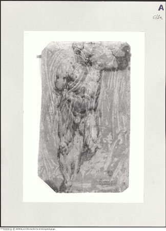 Vorderseite von bh498694_recto