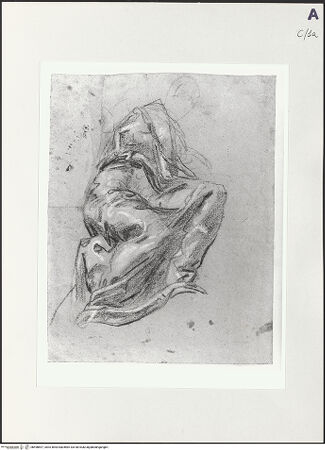 Vorderseite von bh498697_recto